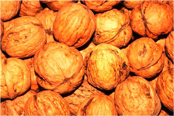 夢到了別人迎親是什麼意思？_周公解夢官網