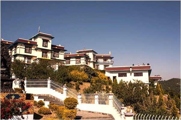 夢到了屬蛇人年運勢是凶兆還是吉兆_周公解夢官網