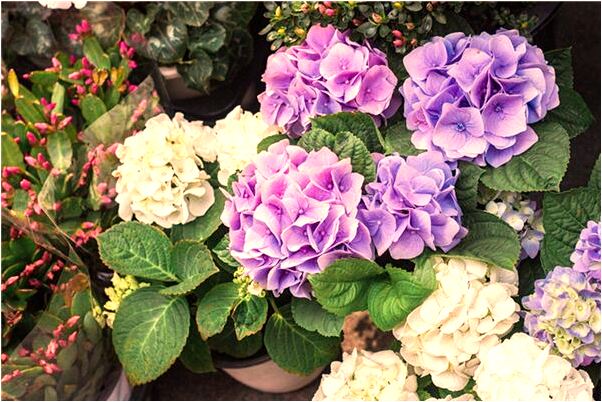 夢見別人在手術台有什麼含義_周公解夢官網