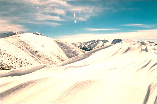 夢到了小舅子掉頭髮意味著什麼_周公解夢官網