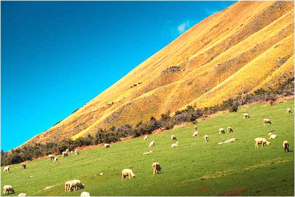 夢見自己總是單身代表著什麼？_周公解夢官網