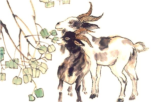 夢到了摘葡萄乾是好是壞_周公解夢官網