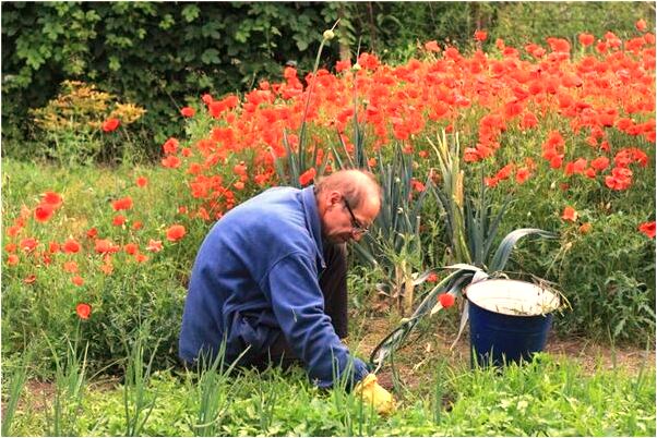 夢見墳墓土不夠預示了什麼_周公解夢官網