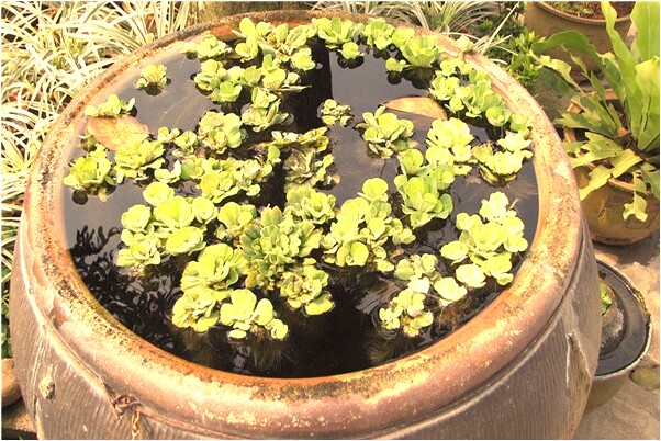 夢到病人坐起代表著什麼_周公解夢官網