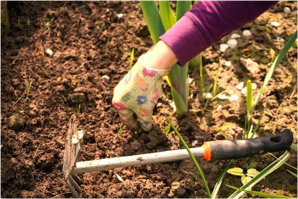夢到好朋友結婚生子好不好_周公解夢官網