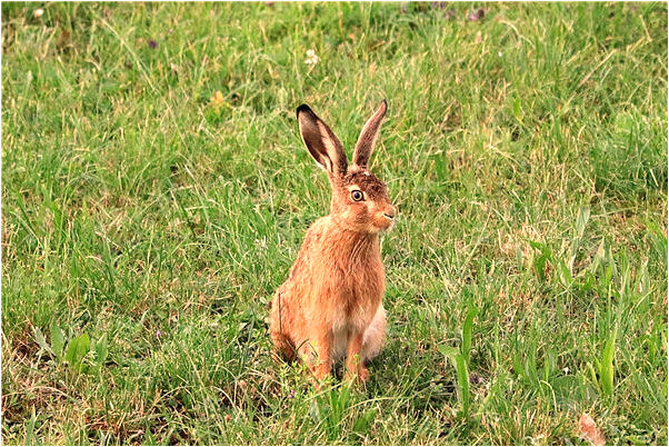 夢到了死去的外婆和自己說話代表著什麼_周公解夢官網