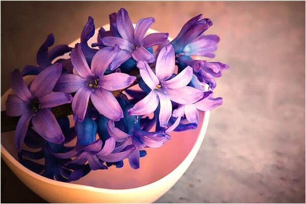 夢到持槍打飛禽預示著什麼_周公解夢官網