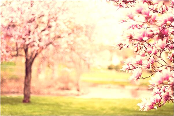 夢到了挖地基蓋房子是什麼意思？_周公解夢官網