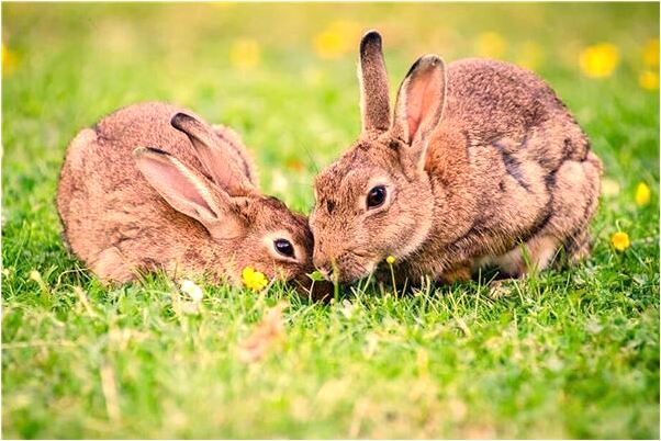 夢到了已經去世的父親微笑是好的徵兆嗎_周公解夢官網