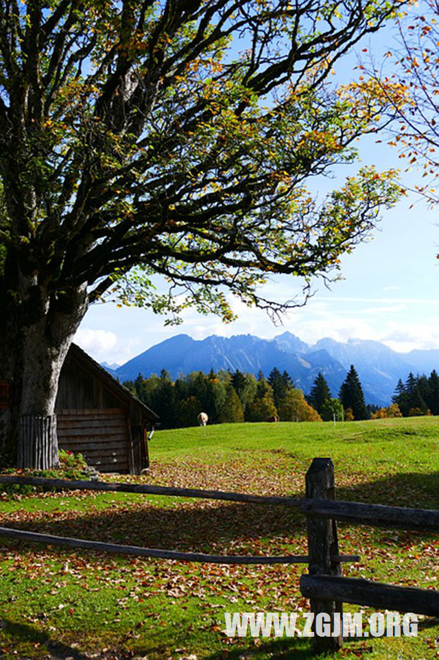 夢見男女裸睡_周公解夢夢到男女裸睡是什麼意思_做夢夢見男女裸睡好不好_周公解夢官網