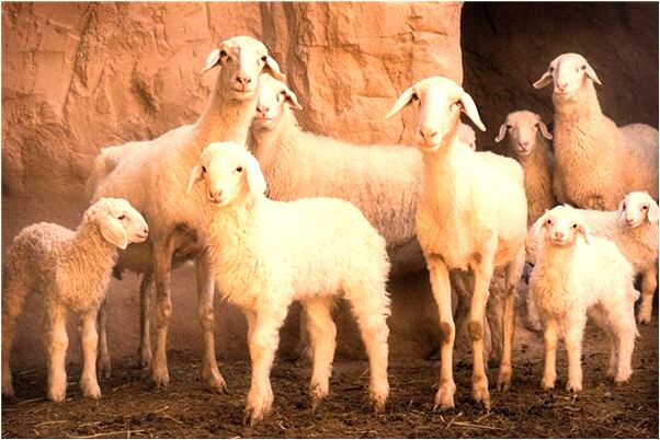 夢到自己被查是啥意思_周公解夢官網