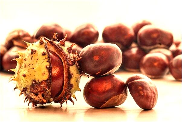 夢到老公的弟死亡代表著什麼_周公解夢官網