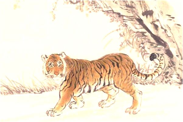 夢到了彩色蒼蠅什麼預兆_周公解夢官網