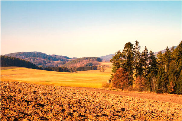 夢見鼻息肉好不好_周公解夢官網