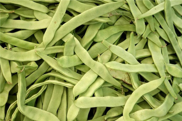 夢見摘綠豆是什麼意思_周公解夢