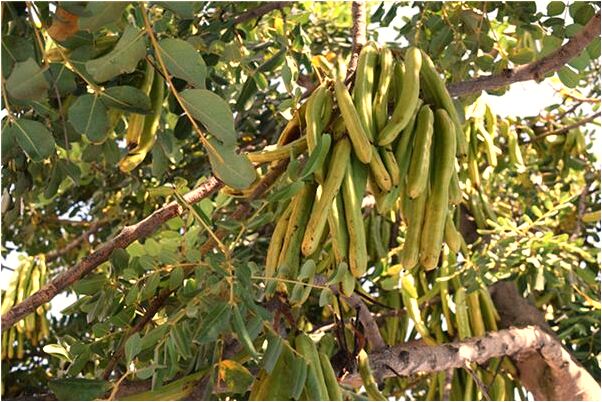 夢見前女友和別的男人開房怎么樣_周公解夢官網