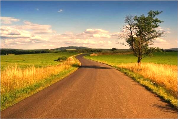 夢到了豬血賤到身上是什麼兆頭_周公解夢官網