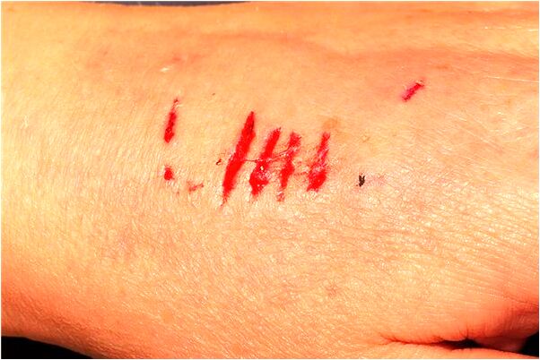 夢到了有人開破車有什麼說法_周公解夢官網