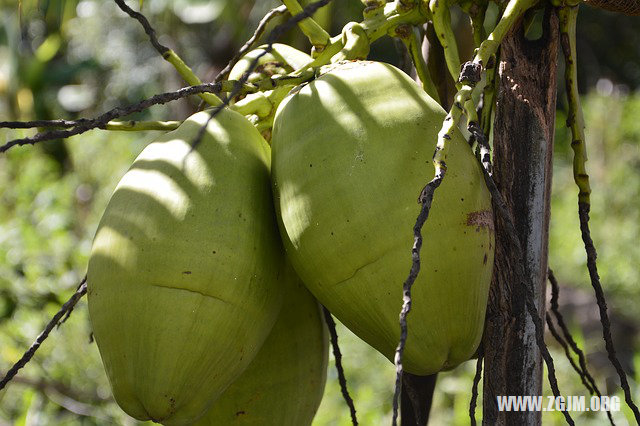 夢見去世的老公_周公解夢夢到去世的老公是什麼意思_做夢夢見去世的老公好不好_周公解夢官網