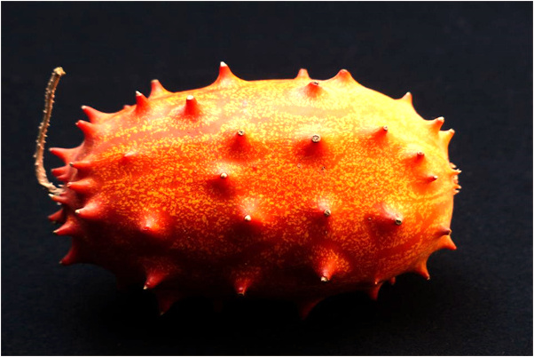 夢到地震和水會有什麼預兆_周公解夢官網