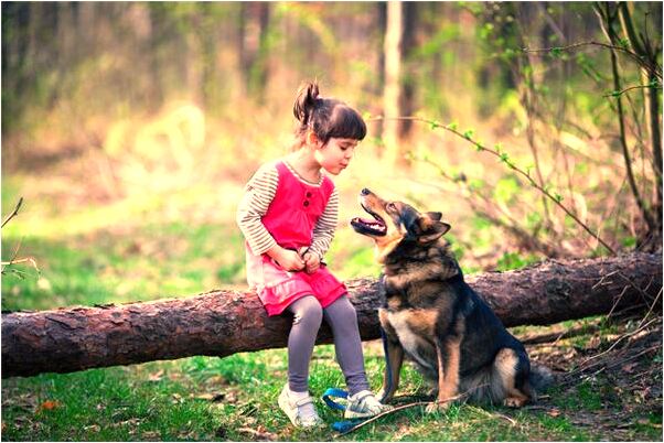 夢到和處女做愛見血有什麼預兆_周公解夢官網