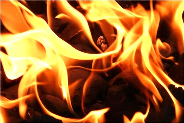 夢到了胳膊猴子兩小孩前男友是怎么回事_周公解夢官網