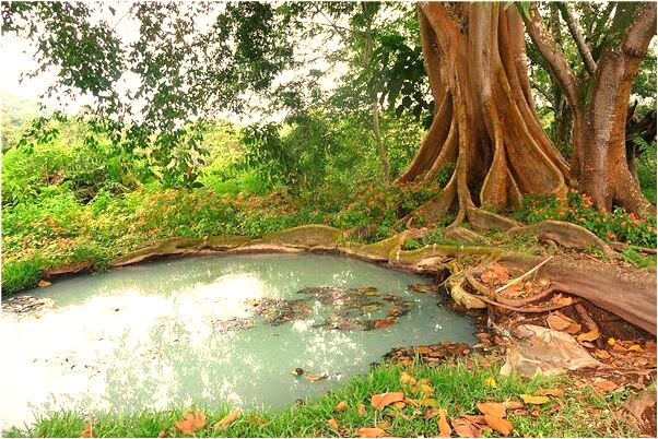 夢見家裡電器燒是什麼啟示_周公解夢官網