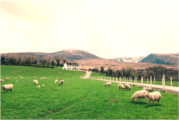 夢到了老人三輪車翻會怎么樣_周公解夢官網