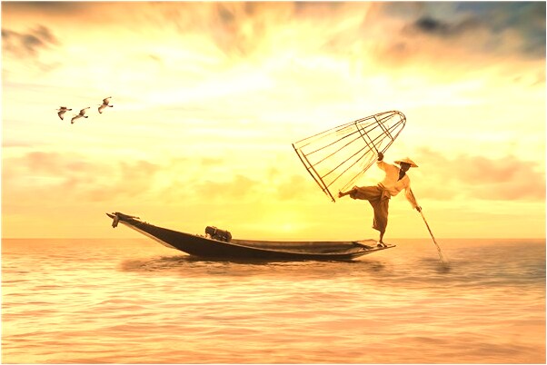 夢到大樹葉子上有蟲子是好事還是壞事_周公解夢官網