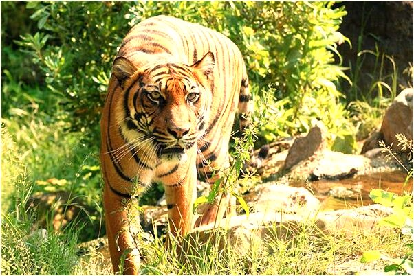 夢到了客戶諮詢物業是什麼預兆？_周公解夢官網