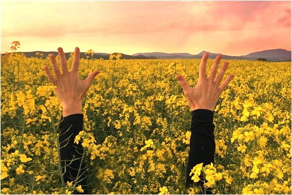 夢到家裡房子被吹倒一面牆是好是壞_周公解夢官網