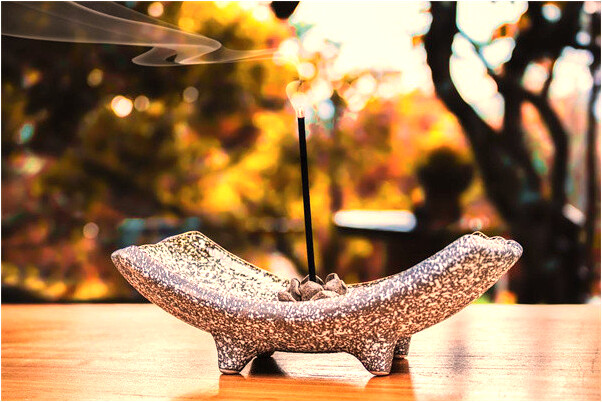 夢見被警犬咬是什麼兆頭_周公解夢官網