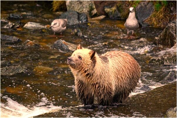 夢見在女人家裡修電腦做事的預兆_周公解夢官網