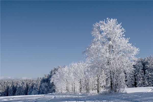 夢到拍雪景預示著什麼_周公解夢