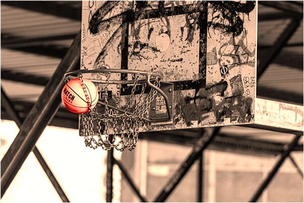 夢到驢在我身邊拉屎什麼寓意_周公解夢官網