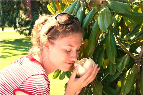 夢見吃死魚是怎么回事_周公解夢官網