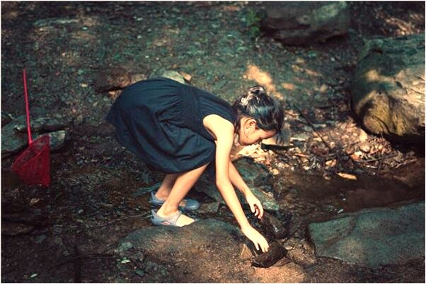 夢見路上有很多糞便意味什麼_周公解夢官網