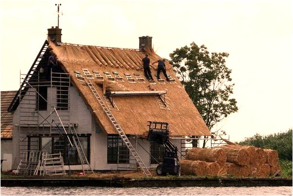 夢見牙齦牙齒脫落代表什麼_周公解夢官網