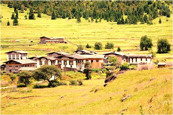 夢到了工廠保全是啥預兆_周公解夢官網