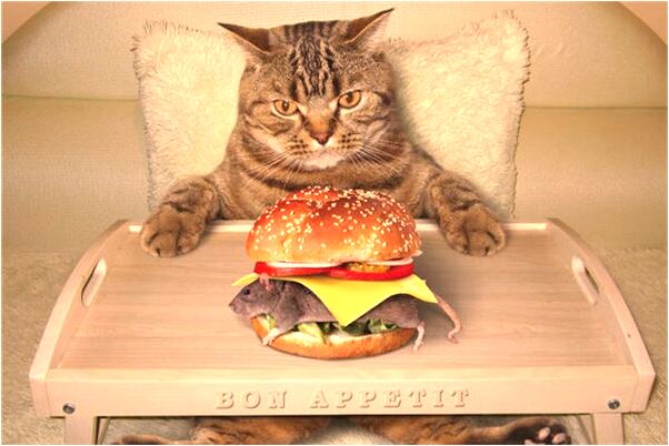 夢見蛇飛起來咬我是什麼徵兆_周公解夢官網