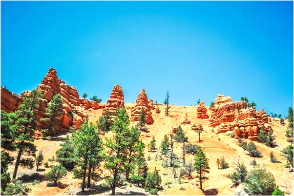 夢到了花草磨古代表著什麼_周公解夢官網