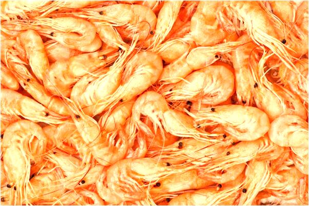 夢到了吹保險套的預兆_周公解夢官網