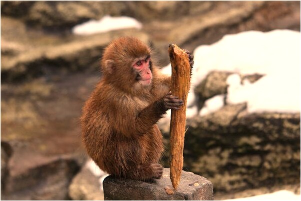 夢到了自己在地上爬是吉兆嗎?_周公解夢官網