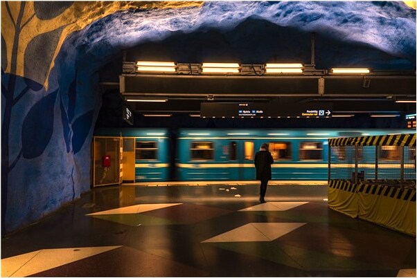 夢見豬拴紅線怎么說_周公解夢官網