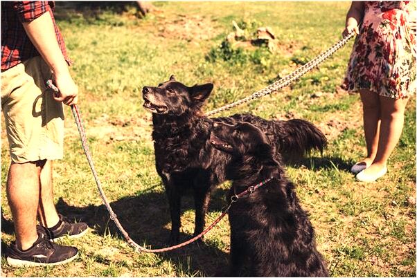 夢到老婆穿新裙子有什麼寓意嗎？_周公解夢官網