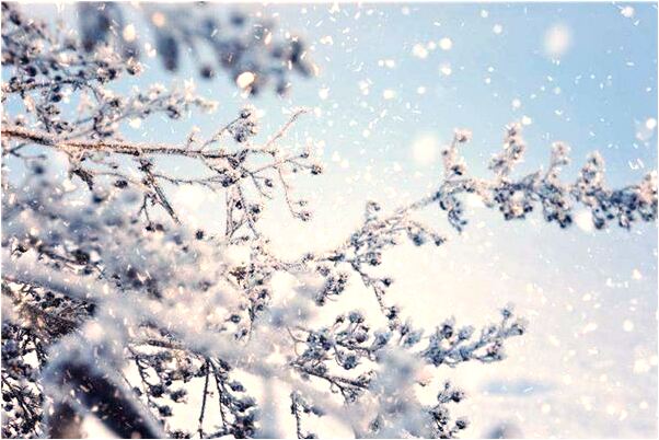 夢到陪小女孩玩預示什麼_周公解夢官網