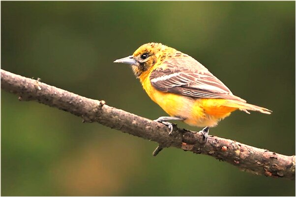 夢見和乞丐打架是好事還是壞事_周公解夢官網