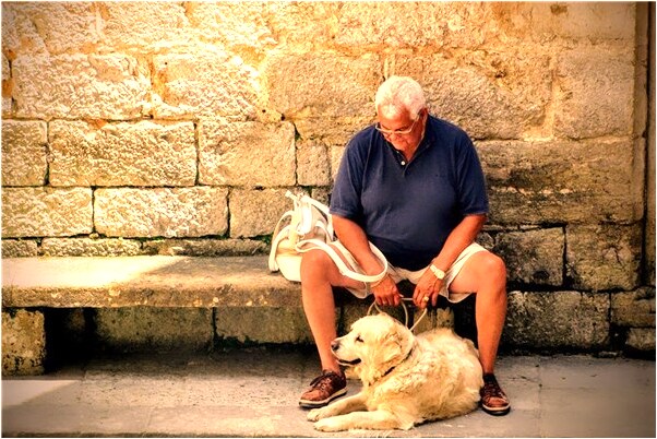 夢到了陪親戚去買鞋預示什麼_周公解夢官網