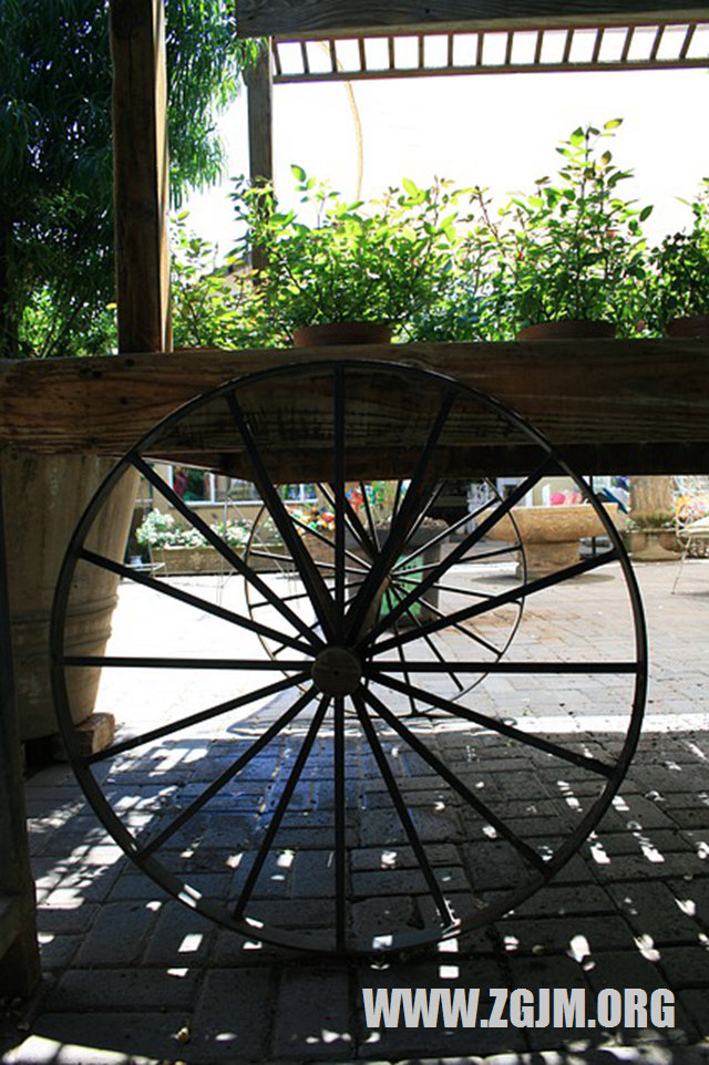 夢見爛蘋果_周公解夢夢到爛蘋果是什麼意思_做夢夢見爛蘋果好不好_周公解夢官網