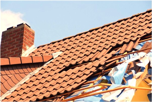 夢到了先追鳥打然後又抓蛇是啥預兆_周公解夢官網